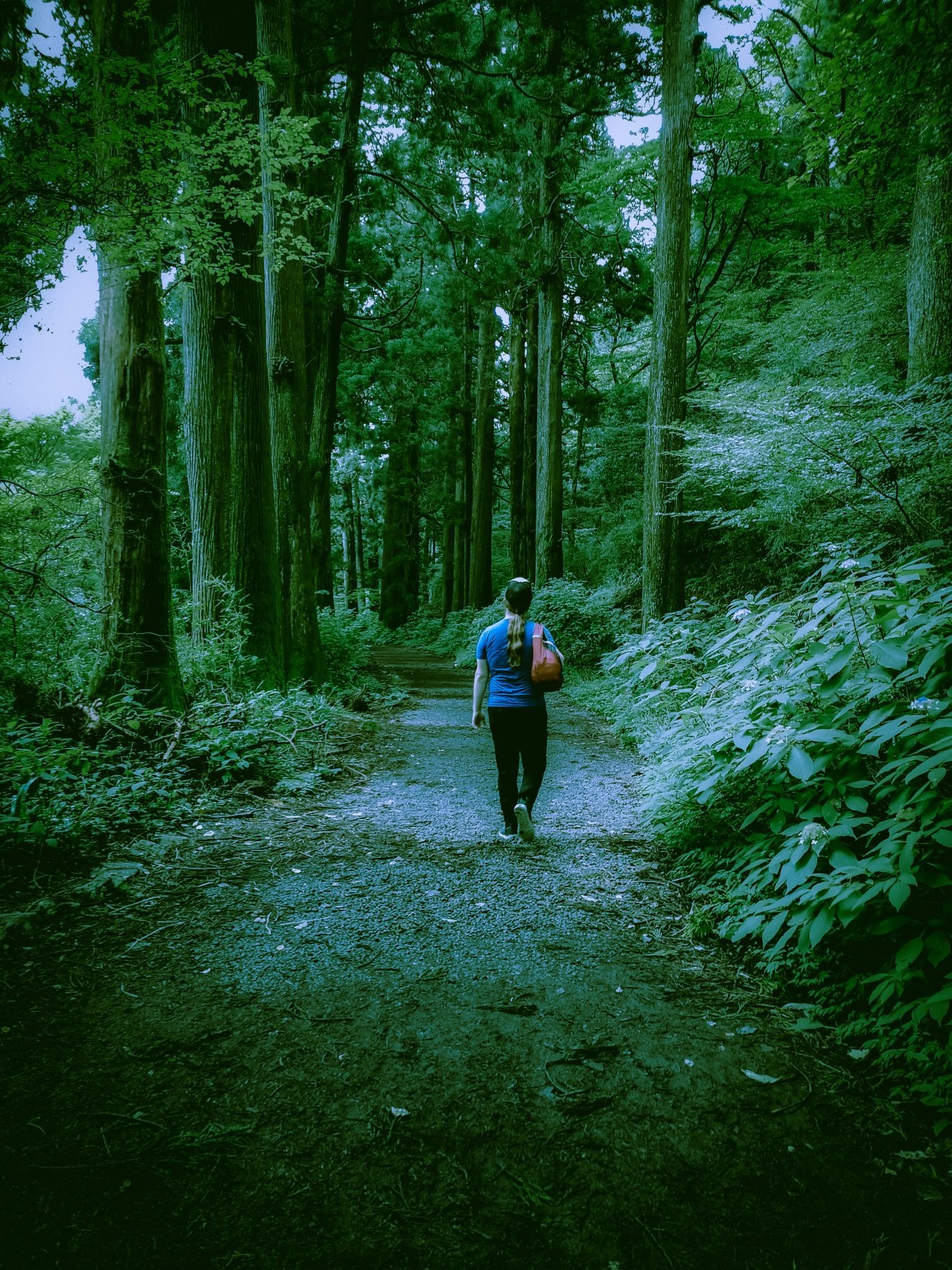 Hangedman walking the Tokaido road